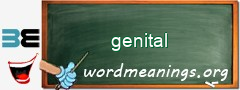 WordMeaning blackboard for genital